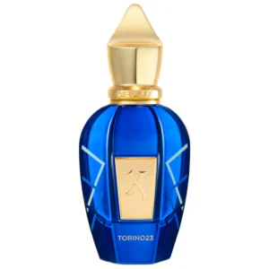 Torino23